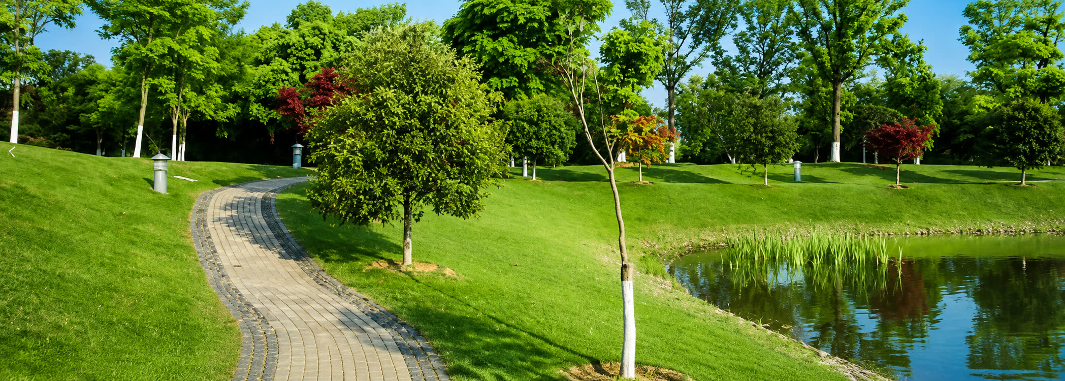 Landscaped garden and pathway